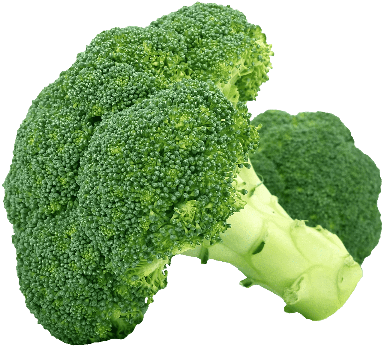 Broccoli